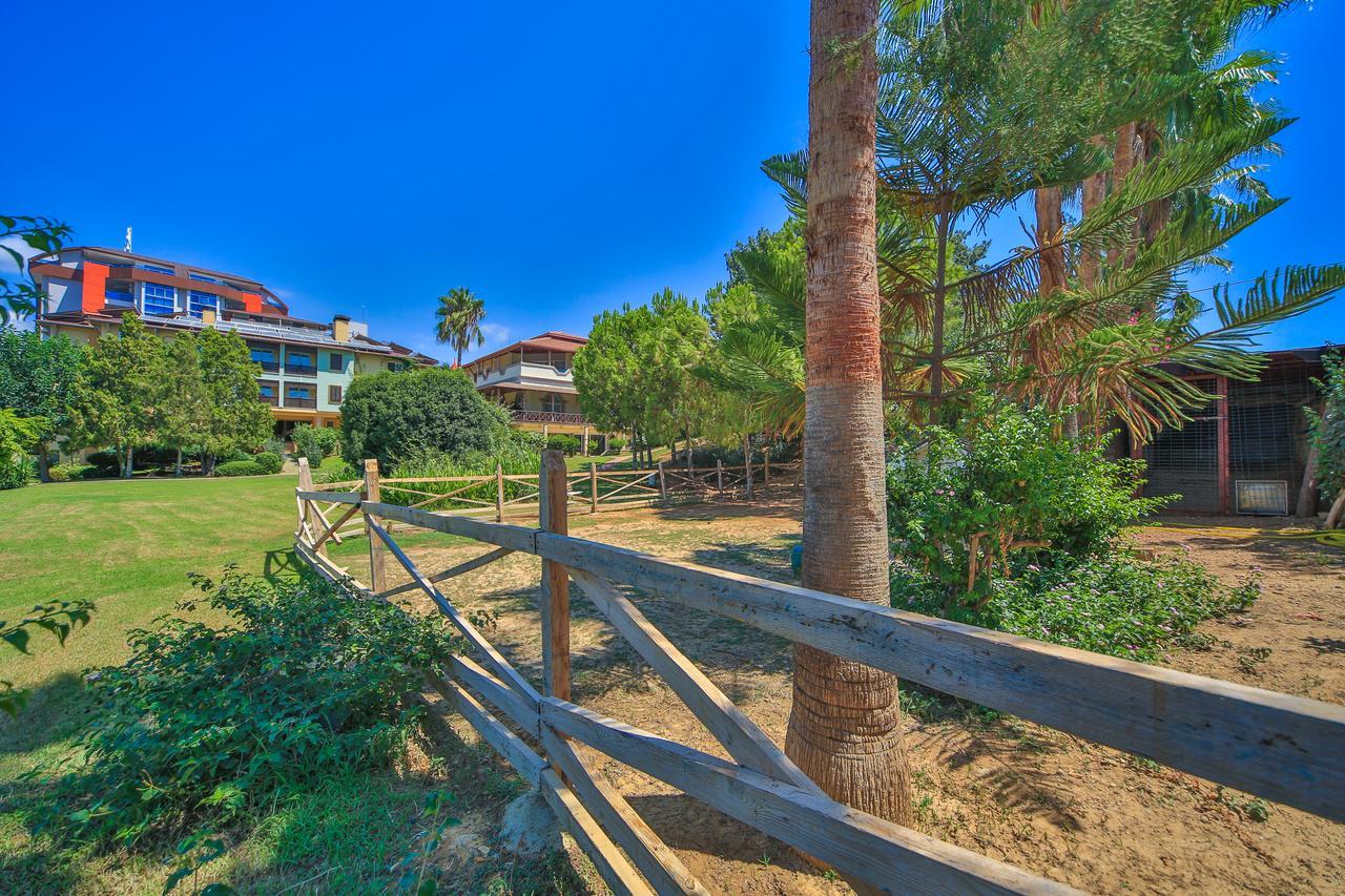 Lonicera Resort & Spa Hotel Avsallar Esterno foto