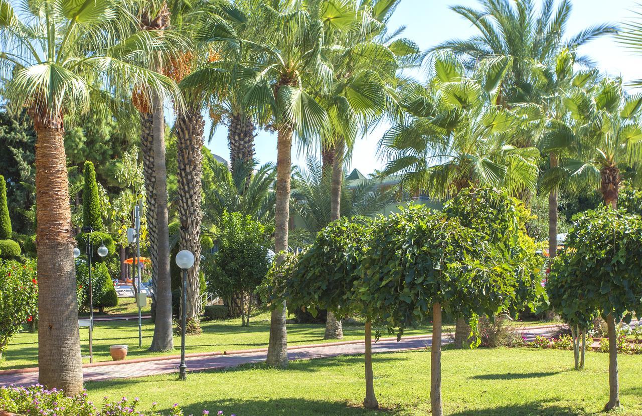 Lonicera Resort & Spa Hotel Avsallar Esterno foto
